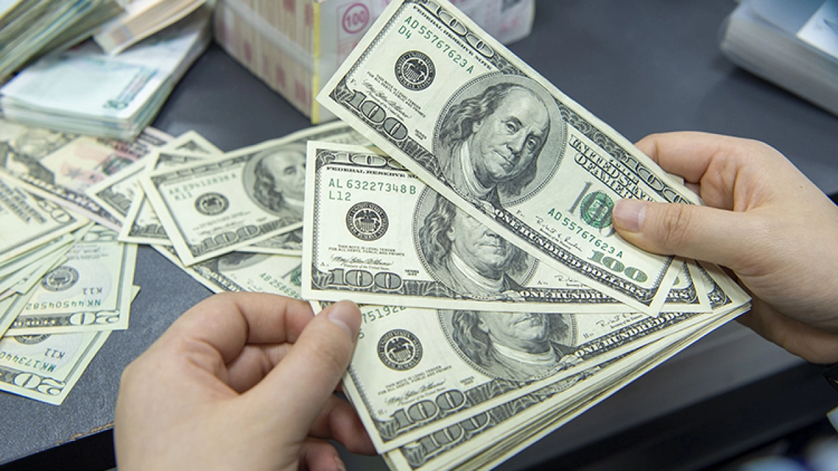 Компания Қазақстаннан 2 миллион долларды заңсыз шығарған