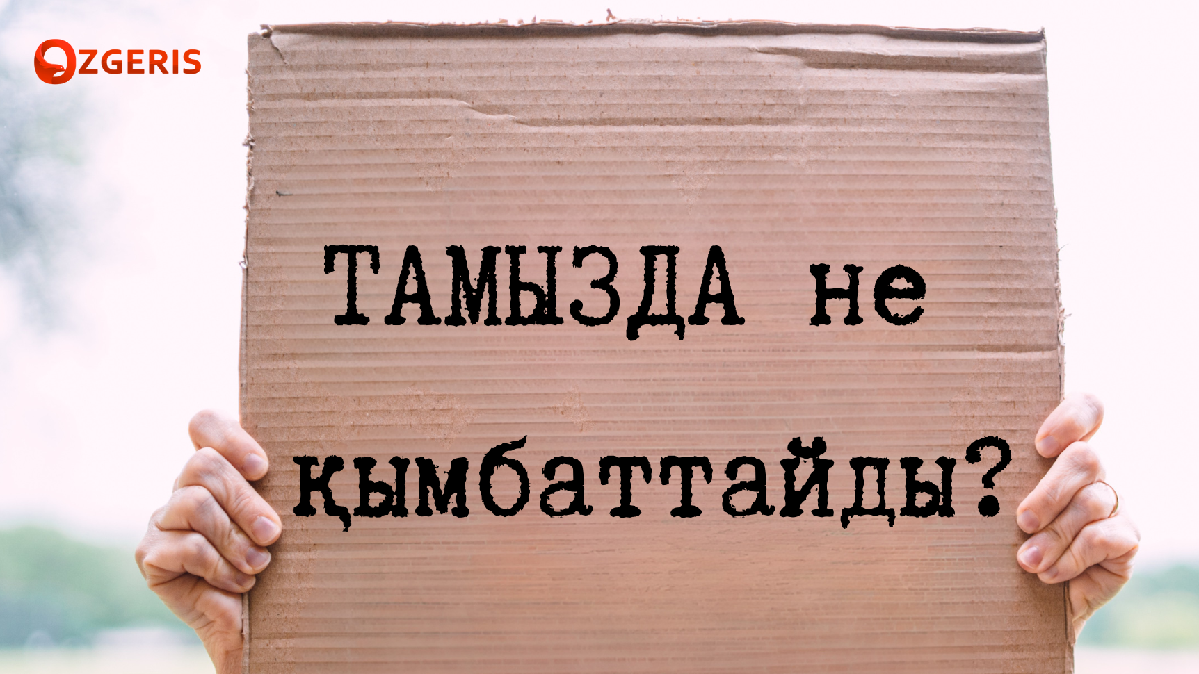Тамызда не қымбаттайды?