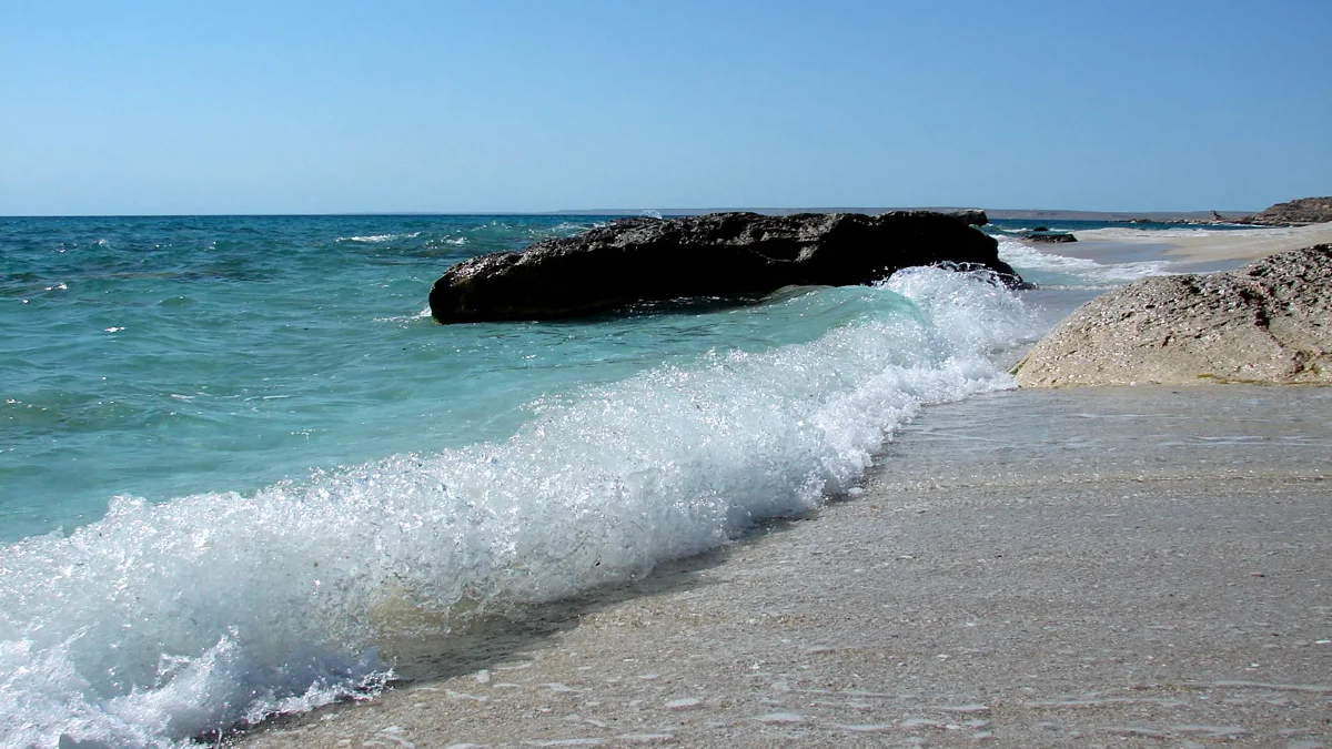 Каспий теңізінен үлкен қара дақ анықталды