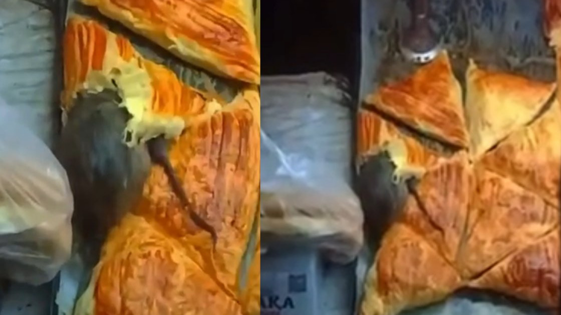 Алматыда самсаның ішінен тірі тышқан шықты: тұрғындар ашулы