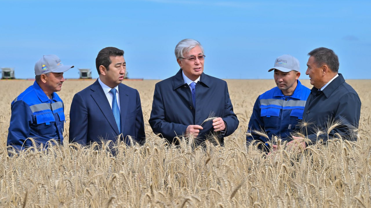Мемлекет басшысы Ақмола облысындағы егін жинау науқанымен танысты