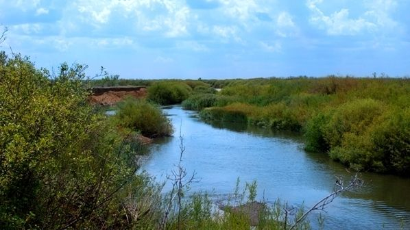 Қарағанды облысында белгісіз ер адамның сүйектері анықталды