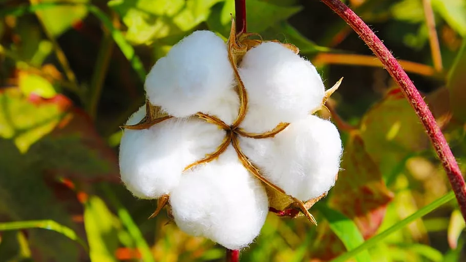 10 күн төтенше жағдай енгізіледі