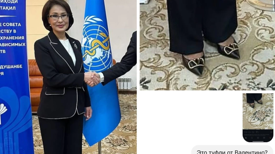 "Туфлиі 510 мың теңге, Lexus-пен тек ақылы клиникаға барады": Министр Әлназарова тағы да ел назарында