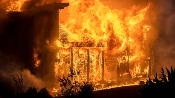 «Ішімдік ішкен»: Павлодарда тірідей жанып кеткен 6 адам туралы тың дерек шықты