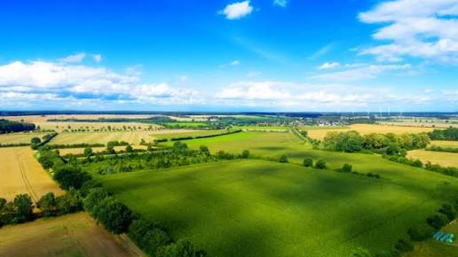 1,8 миллиард теңгенің жері заңсыз берілген: Түркістанда шенеуніктер жауапқа тартылмақ
