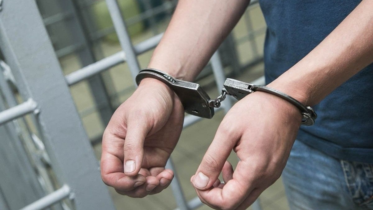 Катя Муму суретті сорып жатыр