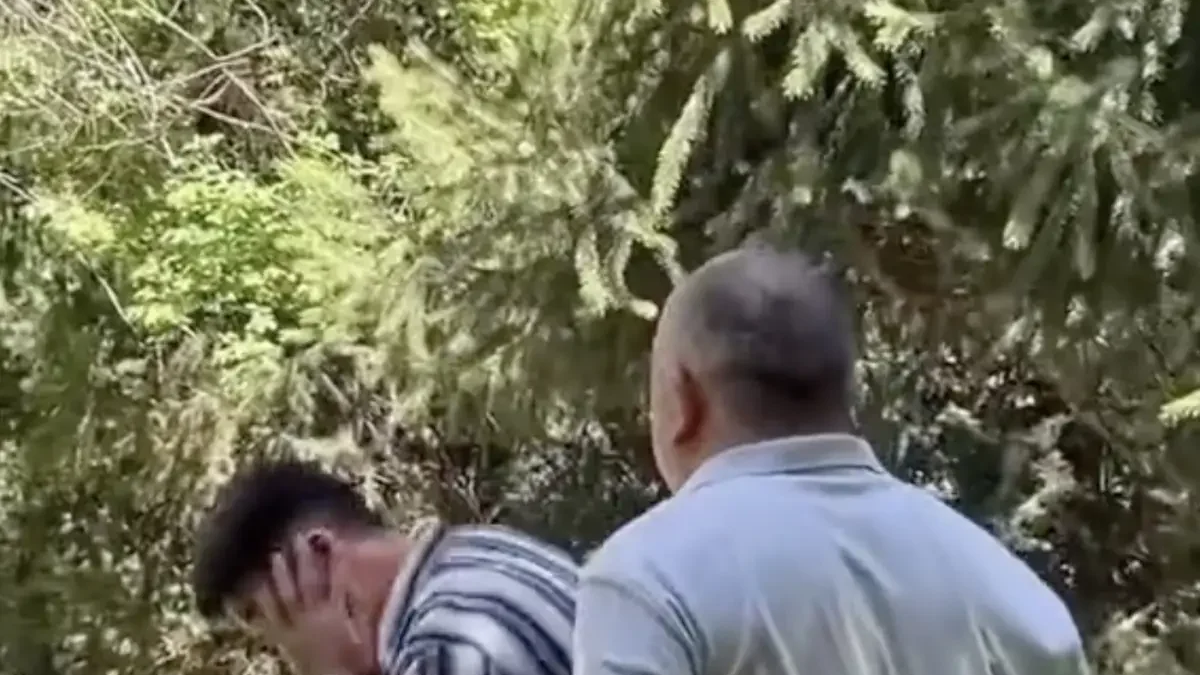 Ертегілері бар порно сайттар