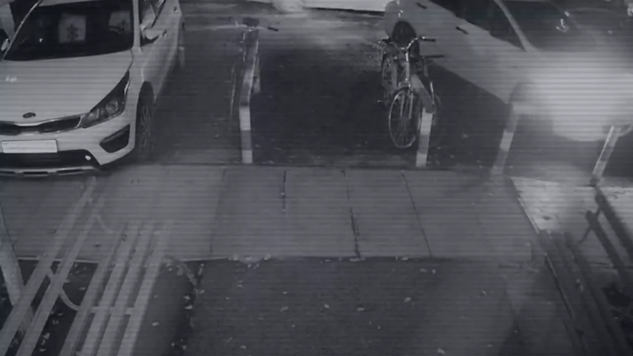 Яна Легкодимованы өлтірген сәттің видеосы жарияланды