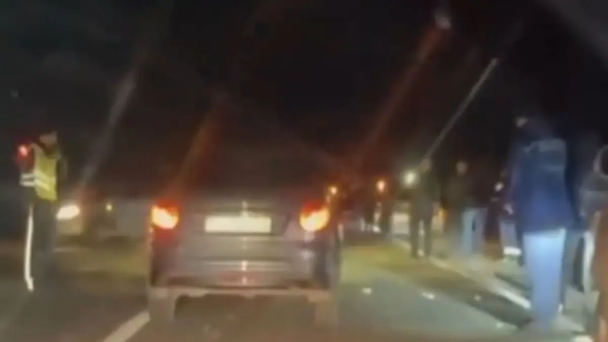 Атырау облысында жеңіл көлік жолға шығып кеткен жылқыға соғылып, екі адам көз жұмды