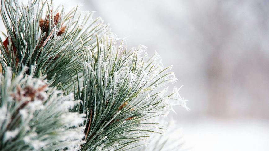 Елімізде алдағы күндері 38 градус аяз болады