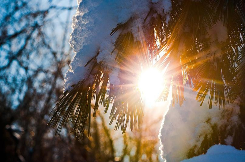 Қазгидромет: Күн 20 градусқа дейін жылынады