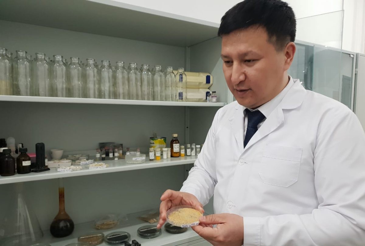 Күріш қауызынан қағаз: Қызылорда ғалымдары жаңалық ашты