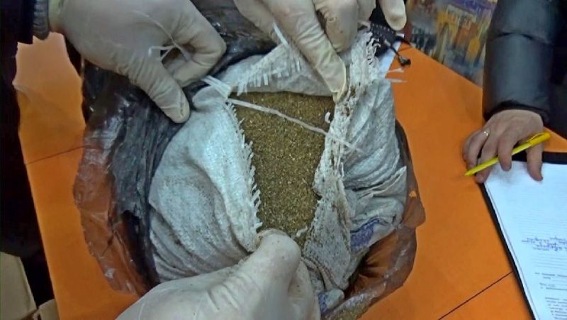 Семей қаласындағы білім беру орталықтарының бірінен есірткі табылды