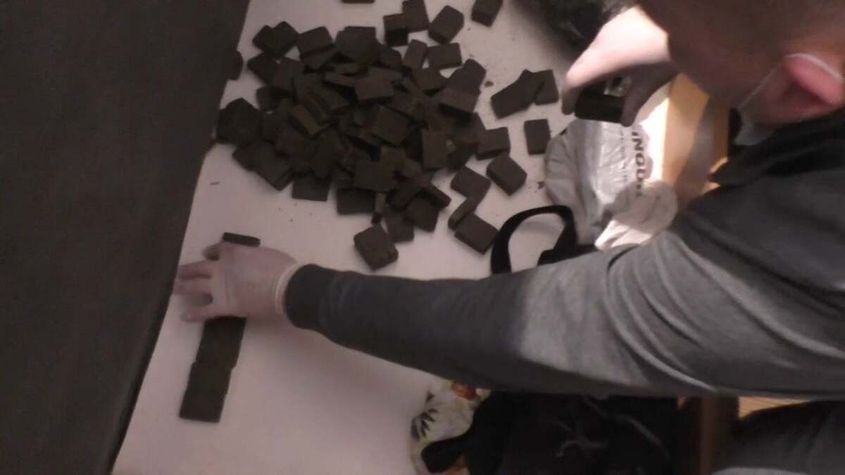 ШҚО-да есірткі жеткізумен айналысқан төрт күдікті ұсталды (ВИДЕО)