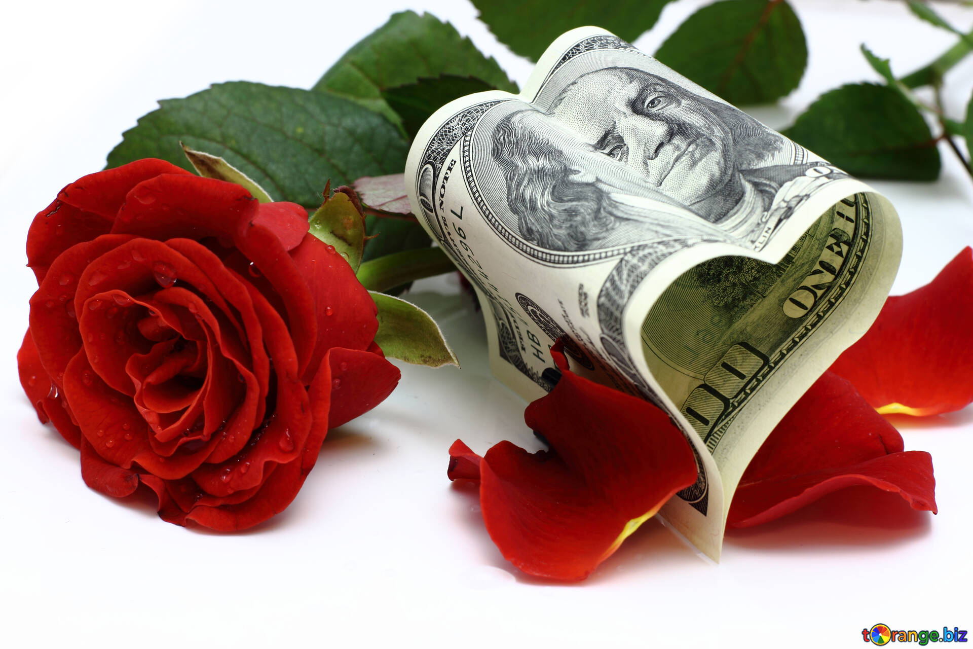 Алматы әкімдігі 25 млн теңгеге гүл сатып алу үшін келісімшарт жасасқан