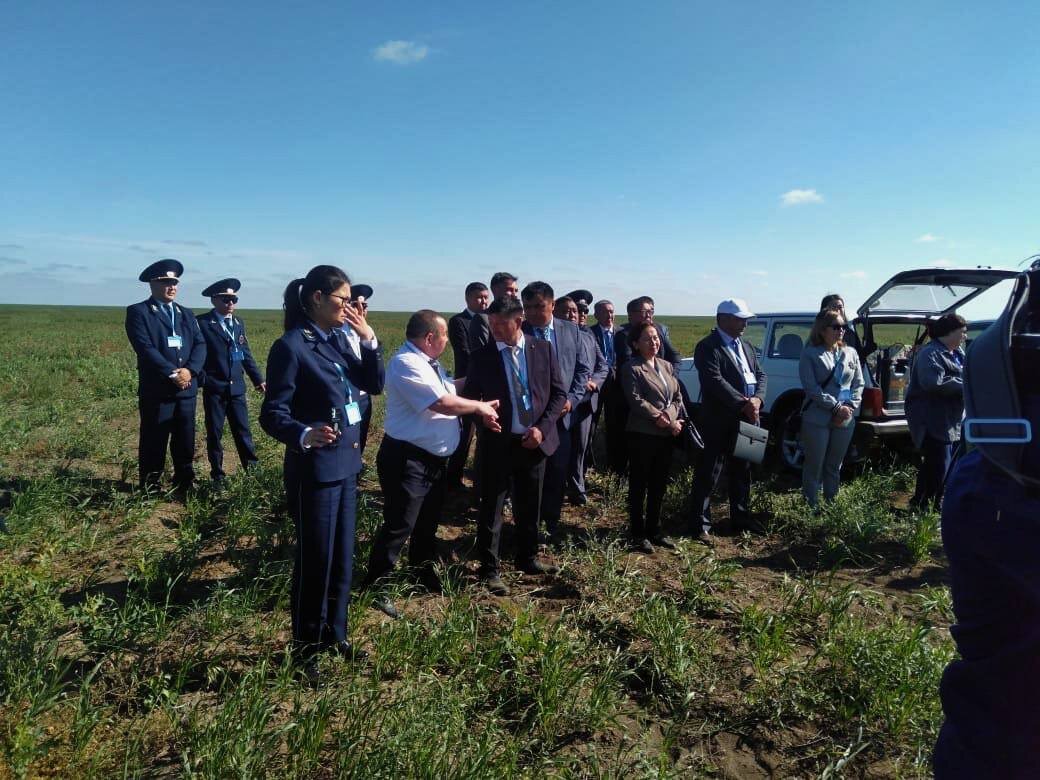 Арамшөптермен күресу басты талап
