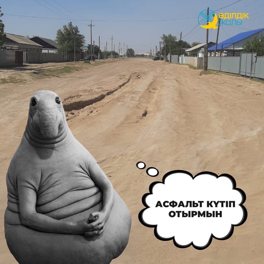 Жолды асфальттау: Жаңақаладан Шыңғырлауға дейін 500 км. «АнушҚұрылыс» ЖШС-і биыл үлгереді ме?