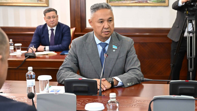 «Бизнесті дамыту, монополиямен күрес»: Президент «Ақ жол» партиясына неге сенім артты