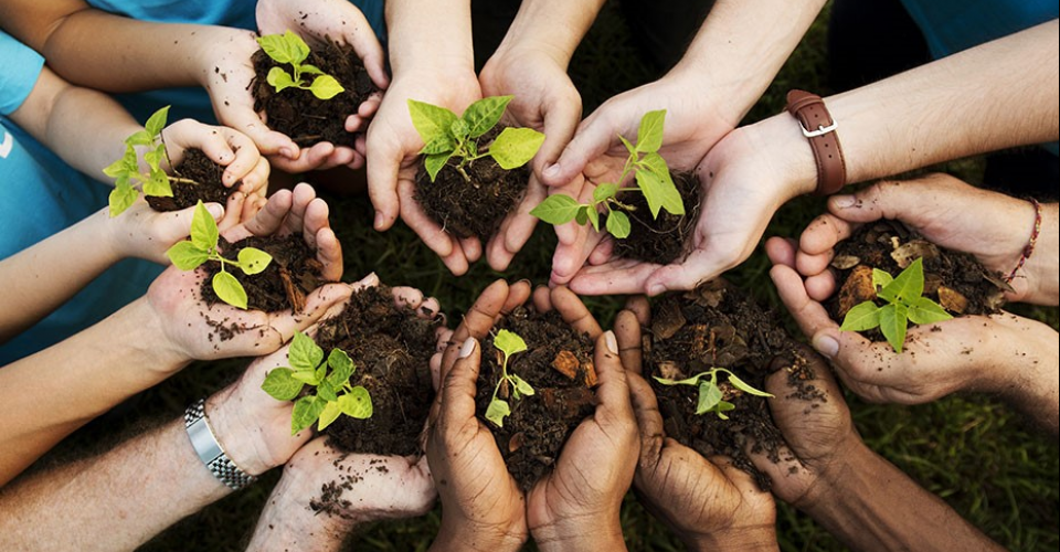 Экологияға тиімді энергия көзі - АЭС қана — эколог