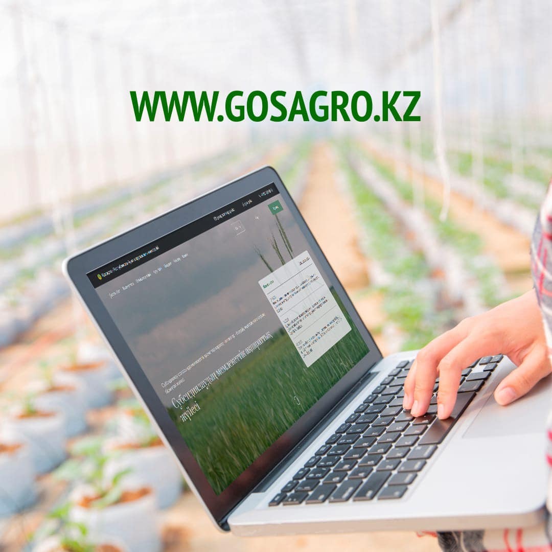 Ауыл шаруашылығын дамытудың басым бағыттары