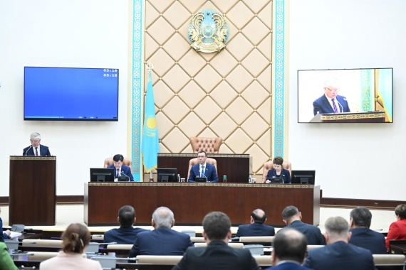Сенатта мәслихатшылармен өңірлерді дамыту мәселелері талқыланды (Фото)