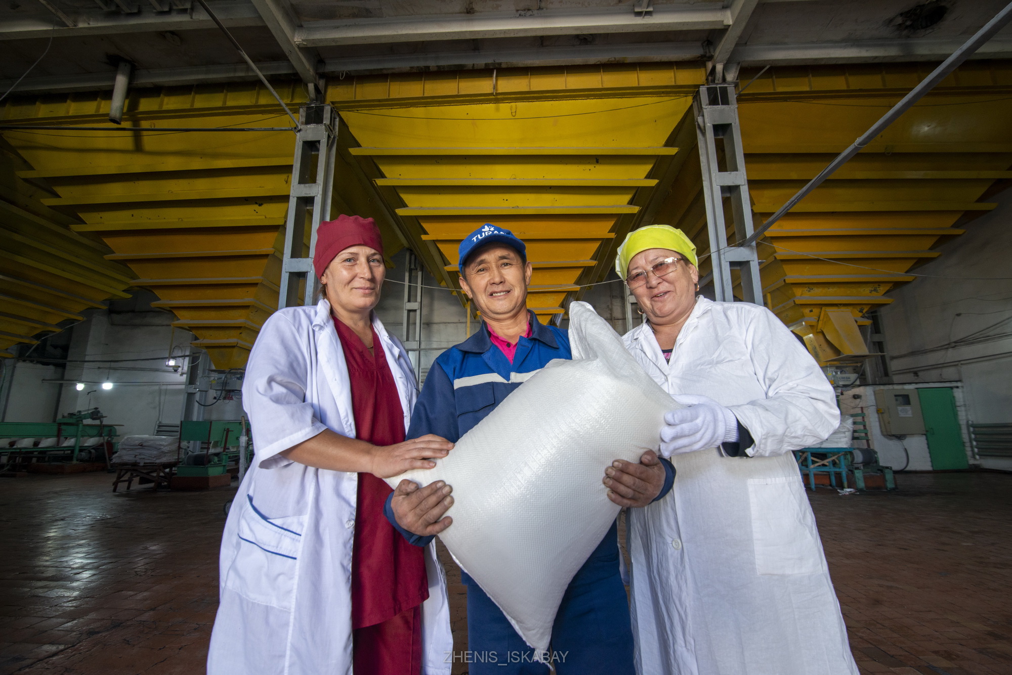 Жетісу облысы биыл қызылшадан 47 мың тонна қант өндіруді жоспарлап отыр