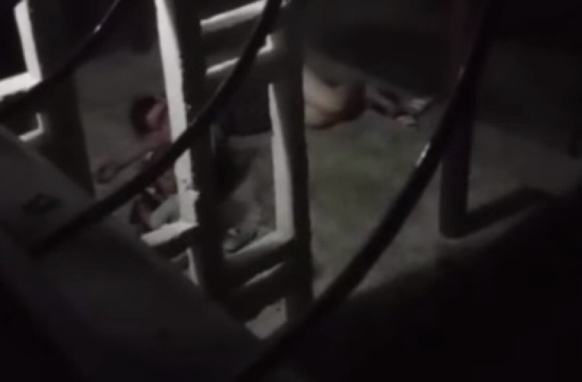 Порно 2 жезөкшелер транни сорады Екатеринбургте ер эскорт іздеп жүрсіз бе?