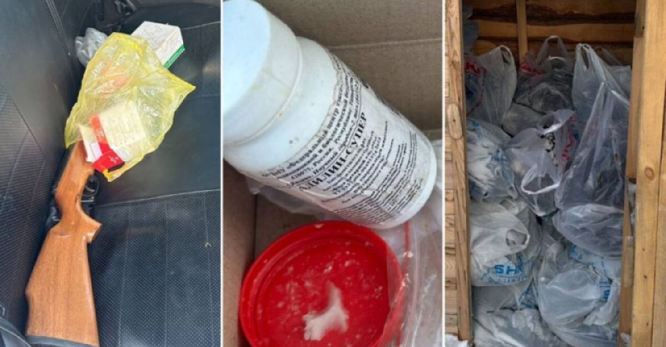 Дәмханаларға иттің етін сатқан: қаңғыған иттерден "бизнес істеген" ақмолалық ұсталды