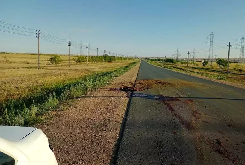 Ақтөбеде жол апатына түскен жүргізушіге көмектеспек болған ер адамды көлік қағып, мерт қылды