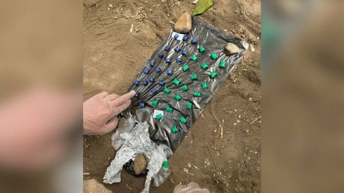 Павлодарда 18 жастағы жігіт 15 жылға сотталуы мүмкін