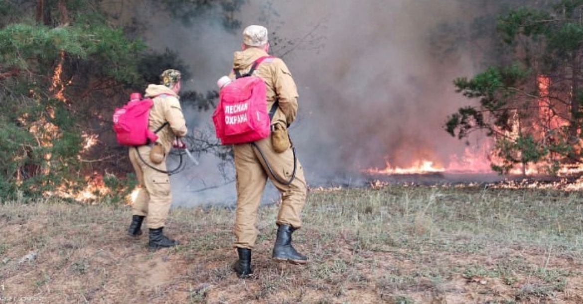 Қаза тапқан орманшылардың отбасы мүшелері төлемақы алып отырады