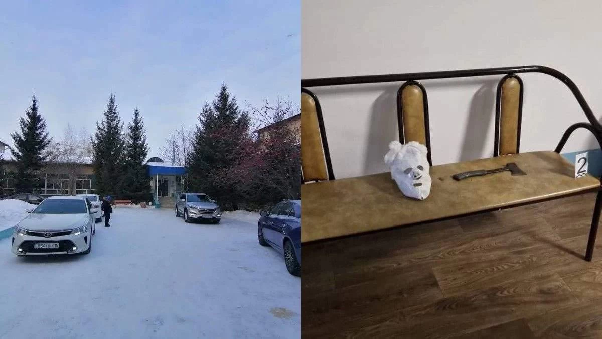 Петропавлда оқушы мектепте балтамен балаларға шабуыл жасады: Полиция тың деректермен бөлісті