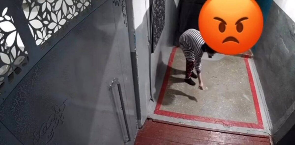 Павлодар тұрғыны мысыққа сірке суын құйған