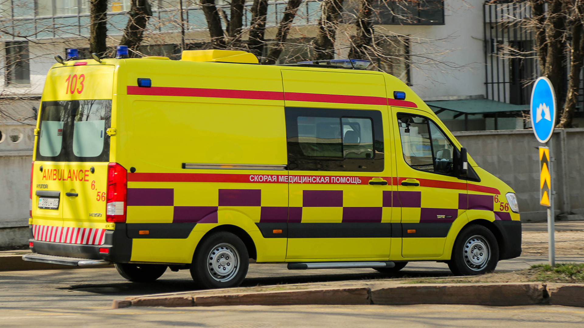 Ақмола облысында жедел жәрдем көлігі жүк көлігімен соғысты