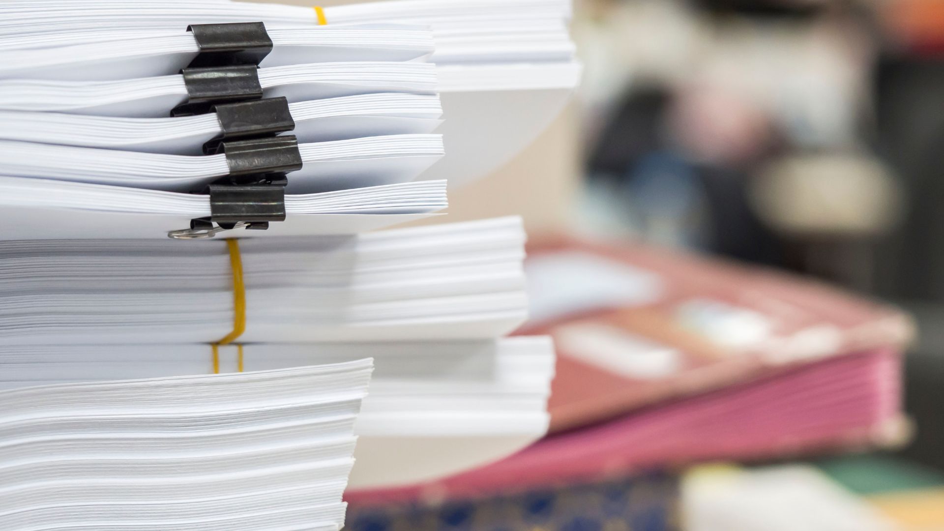 Түркістан облысында 4 жасар бүлдіршінді іздеуге дрон мен иісшіл иттер тартылды