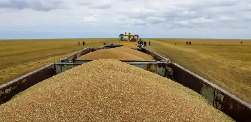 Қостанай облысында 4 миллион гектардан астам алқапқа астық егіледі