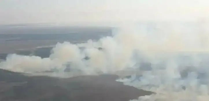 Каспий теңізінің Ресеймен шекарадағы жағалауында қамыс өртеніп жатыр