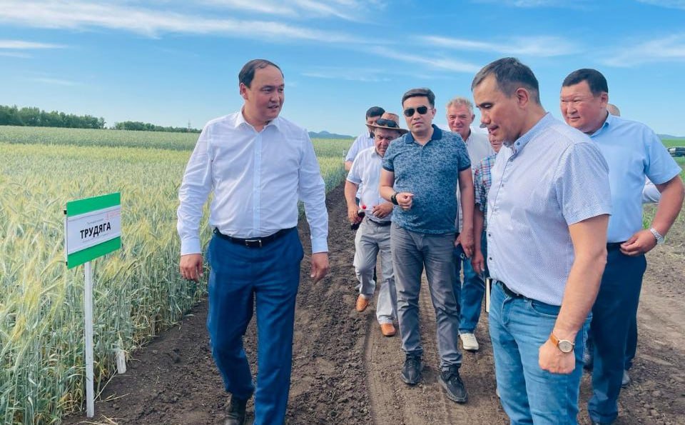 ЖАМБЫЛ ОБЛЫСЫНЫҢ ӘКІМШІЛІГІ ЖАРНАМАҒА 23 МЛН ТЕҢГЕ ҚҰРТПАҚШЫ