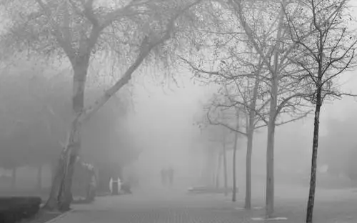 Тұман, жел, бұрқасын: 15 наурызда ауа райы қандай болады