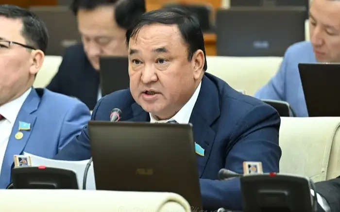 Қазақстандықтар киіп жүрген шұлықтың 80 пайызы шетелдікі – депутат