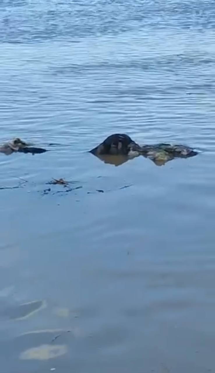 Атырауда жас баланың мәйіті табылды