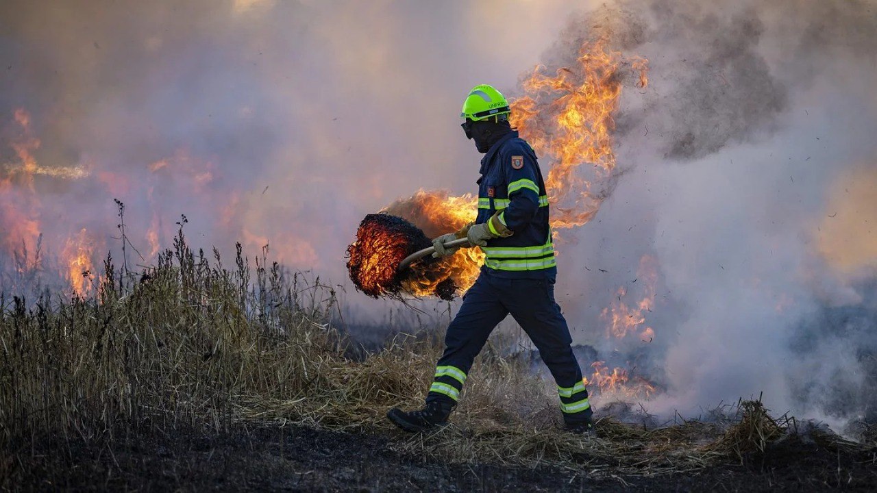 «Жаз ыстық болады» - Берік Асылов