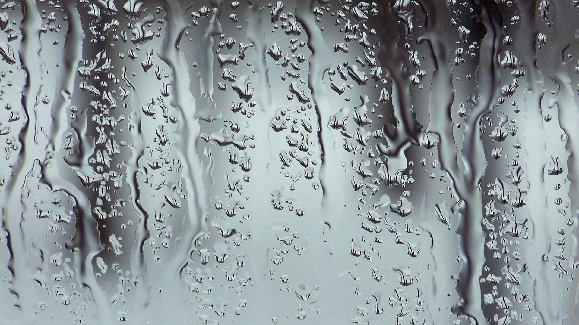 Жаңбыр, бұршақ, жел: 19 мамырға арналған ауа райы болжамы