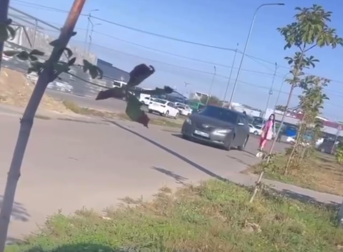 "Заманауи қыз қуу".Алматыда Camry қызды тротуарға шығып қуды(ВИДЕО)
