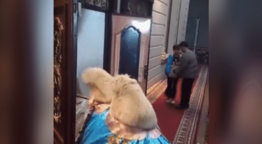 «Жануарды қорлау ғой»: Тойханаға түйесін сыйғыза алмаған адамның әрекеті талқыға түсті (ВИДЕО)