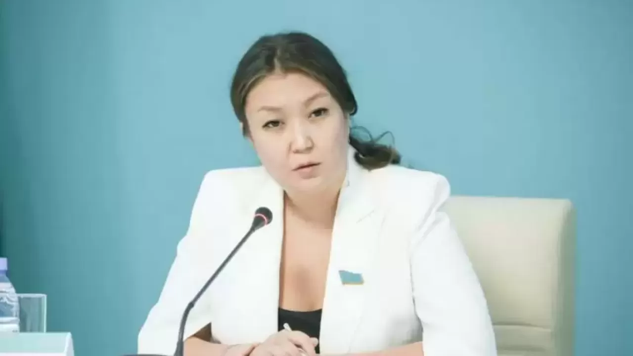 Динара Зәкиева блогердің педофилиясына қатысты түсініктеме берді