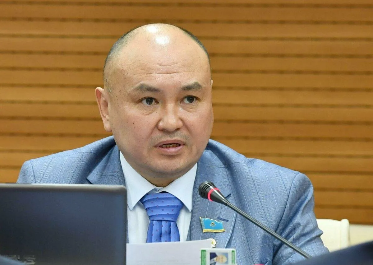 "Билікпен ауызжаласқан олигархтар салықты аз төлейді": Депутат салықты арттыру мәселесін көтерді