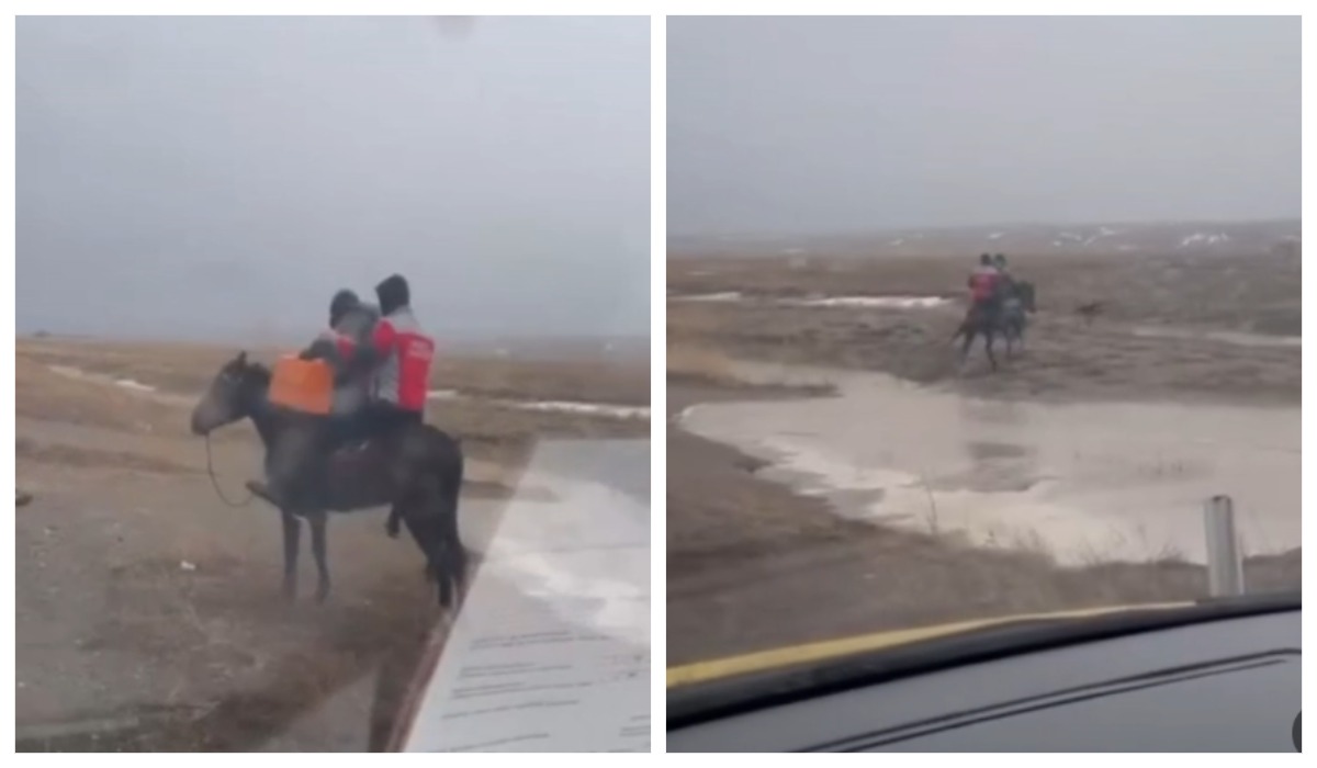 Науқасқа атпен барған фельдшер оқиғаның қалай болғанын айтты