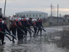 маса улау